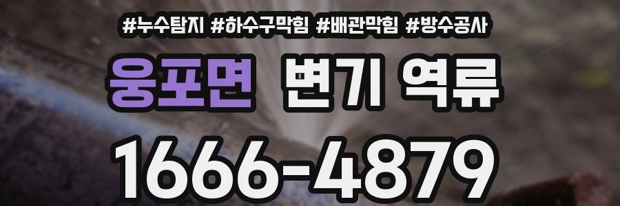 웅포면 변기 역류