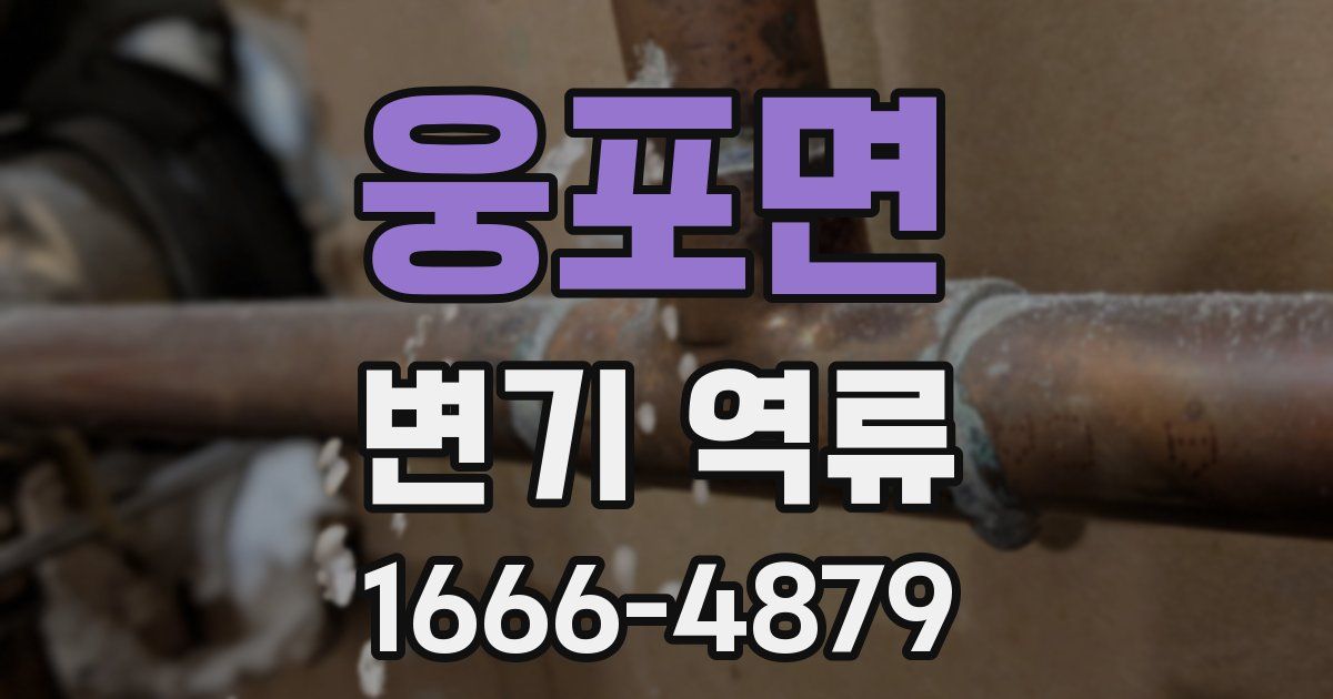 웅포면 변기 역류
