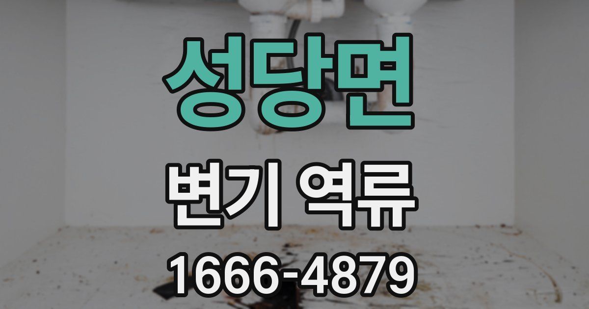 성당면 변기 역류