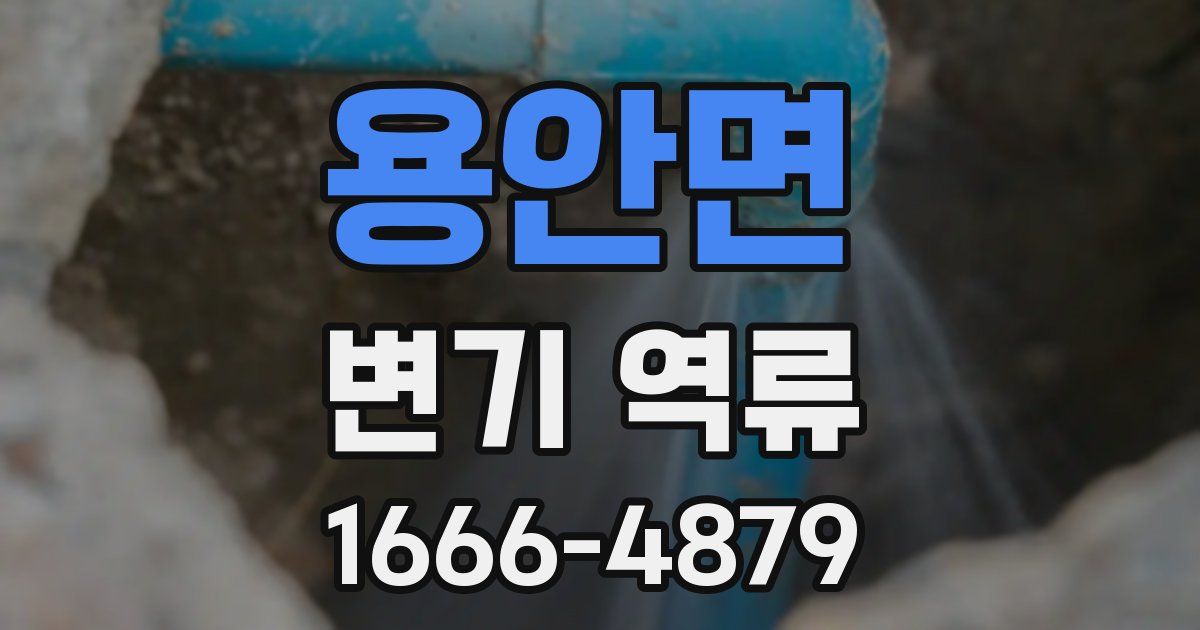 용안면 변기 역류