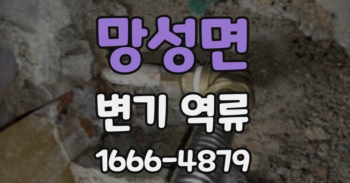 망성면 변기 역류
