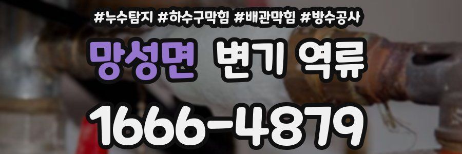 망성면 변기 역류