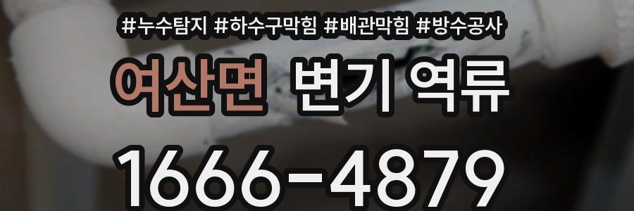 여산면 변기 역류