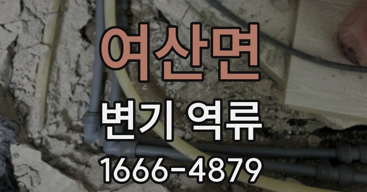 여산면 변기 역류