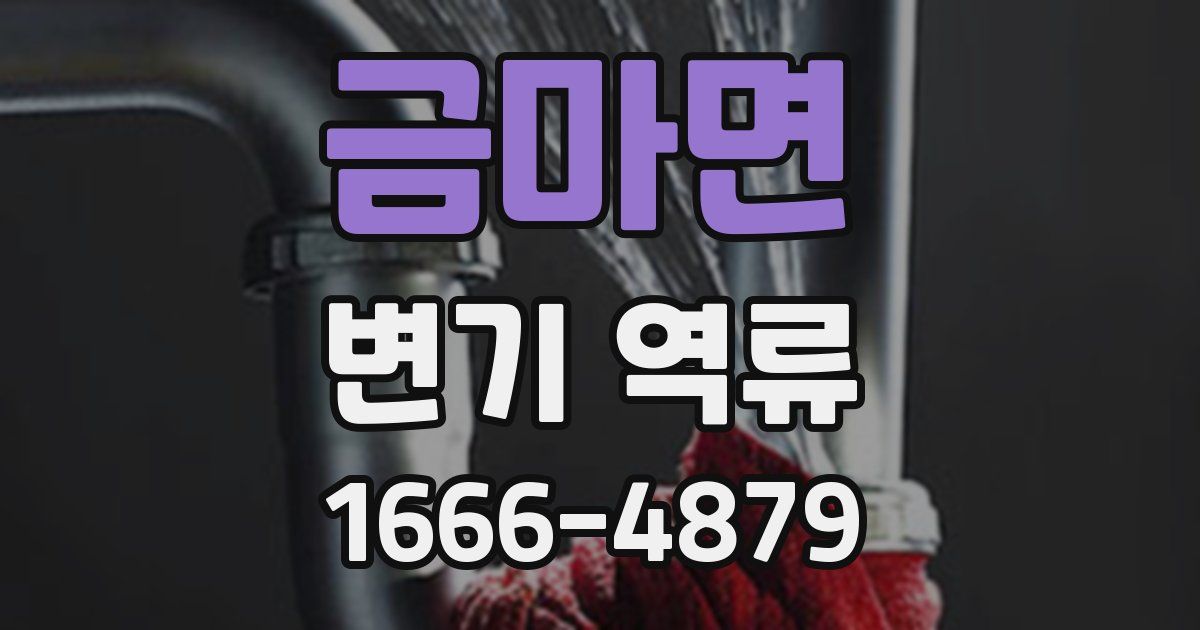 금마면 변기 역류