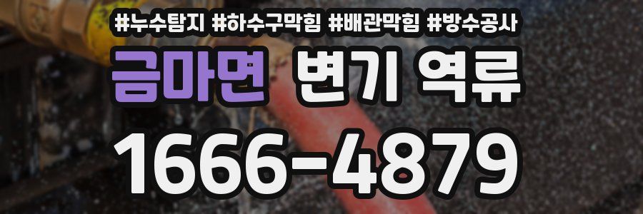 금마면 변기 역류