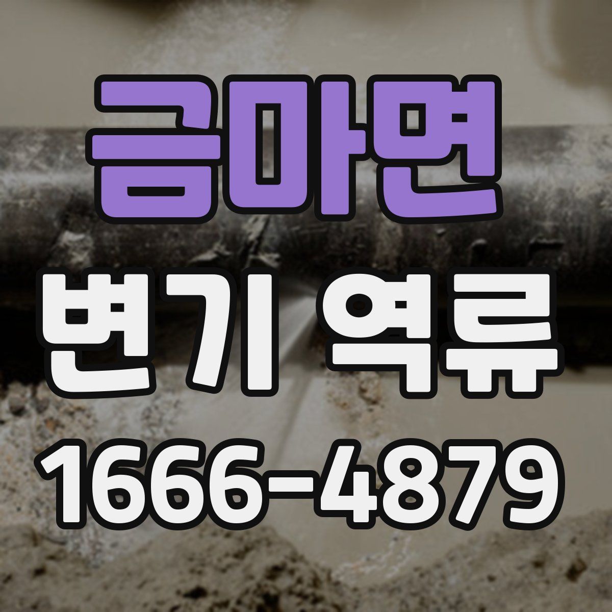 금마면 변기 역류
