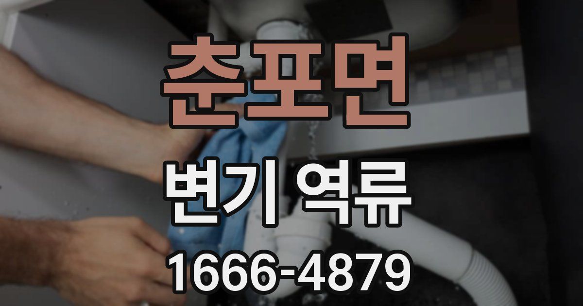 춘포면 변기 역류