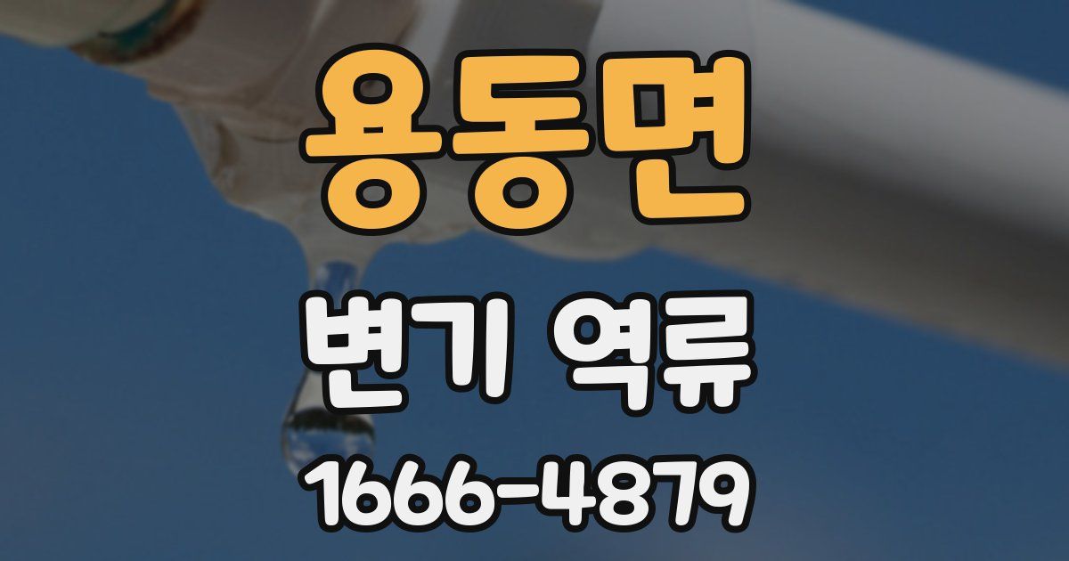 용동면 변기 역류