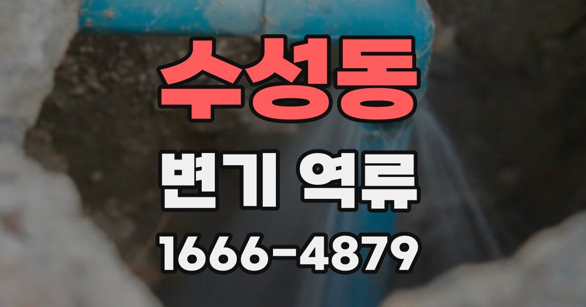 수성동 변기 역류