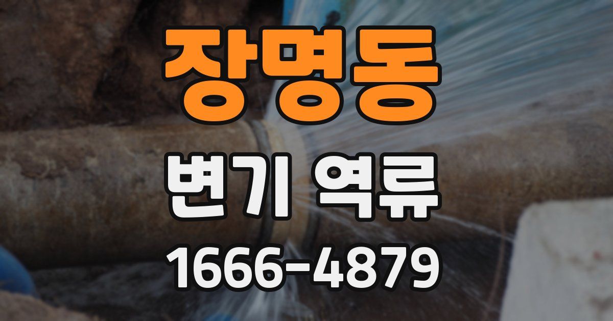 장명동 변기 역류