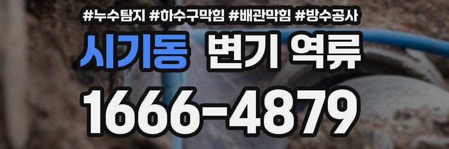 시기동 변기 역류