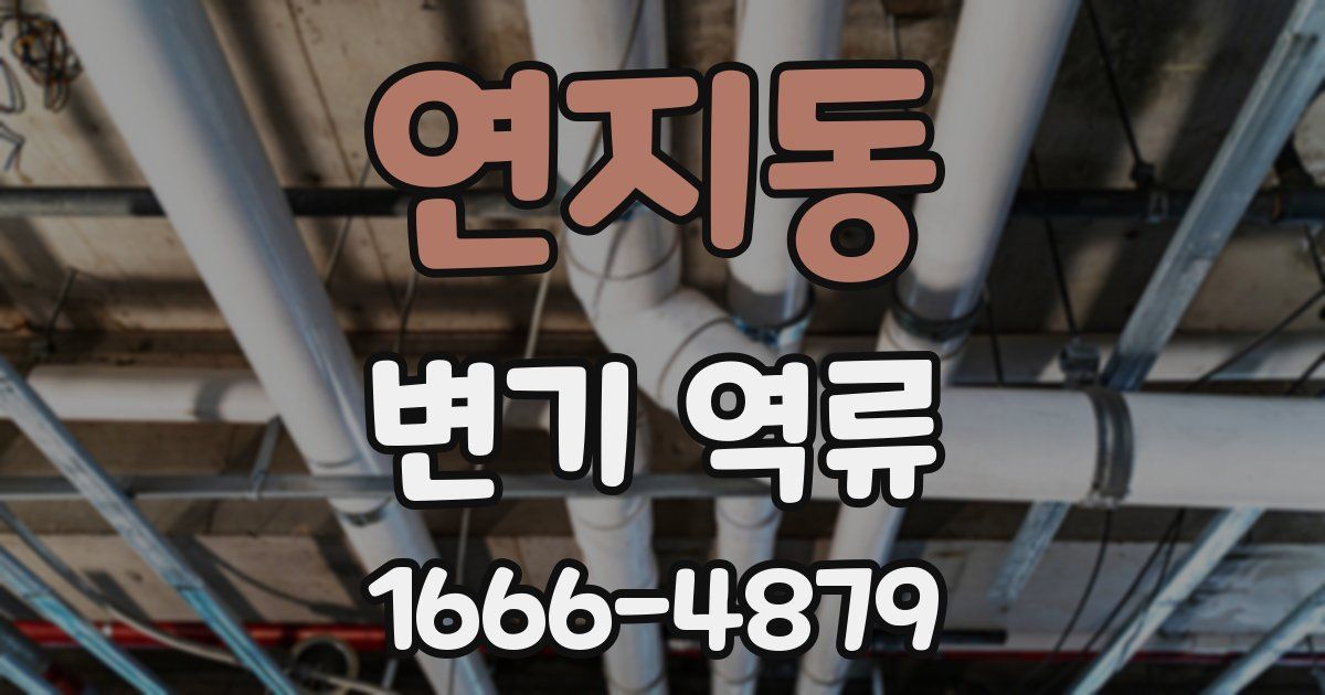 연지동 변기 역류