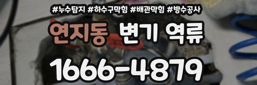연지동 변기 역류