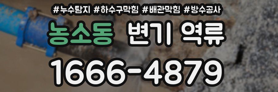 농소동 변기 역류