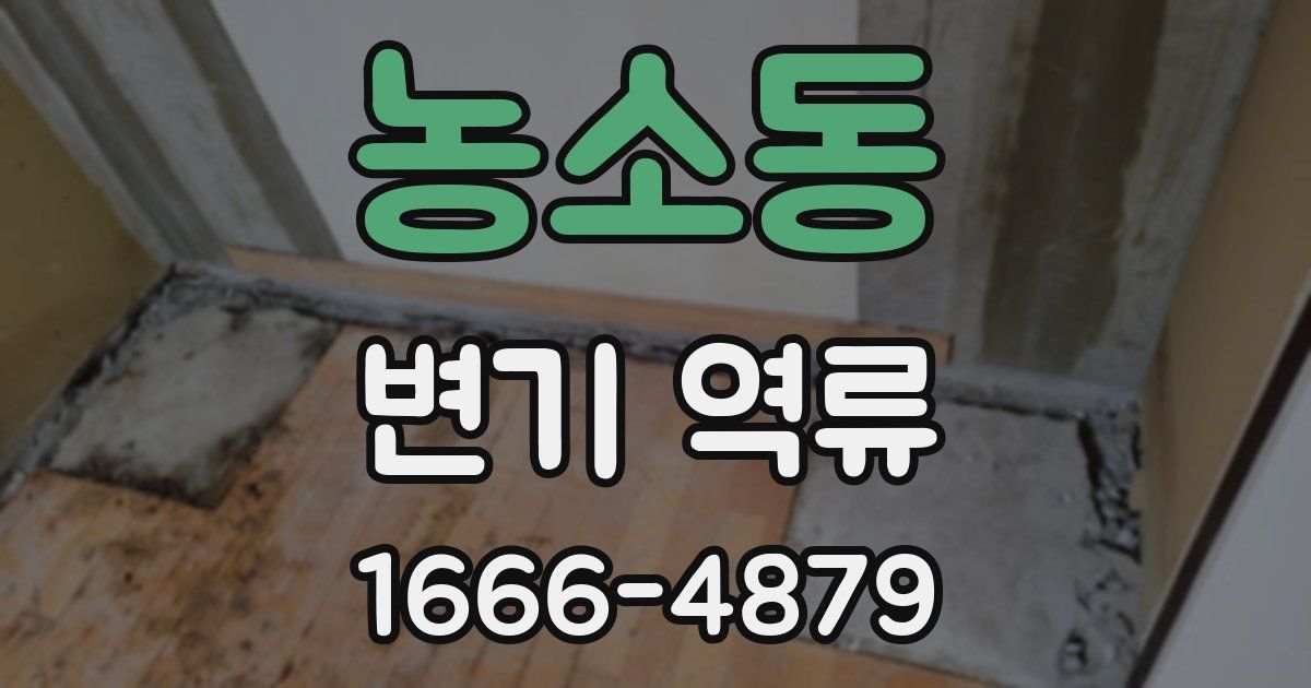 농소동 변기 역류
