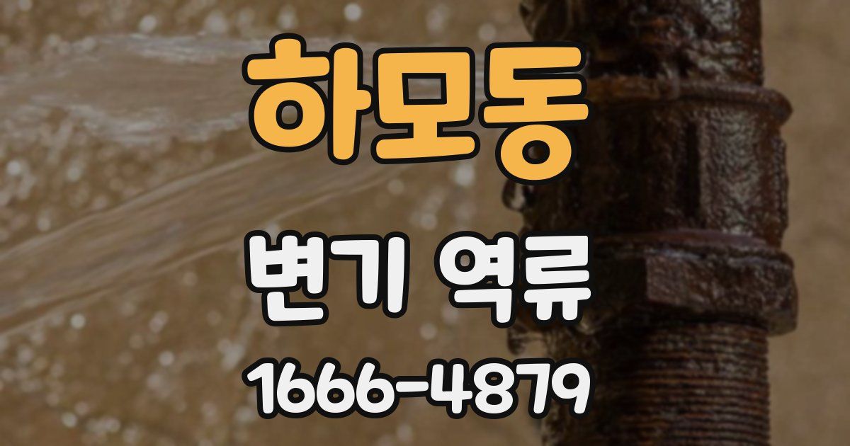 하모동 변기 역류