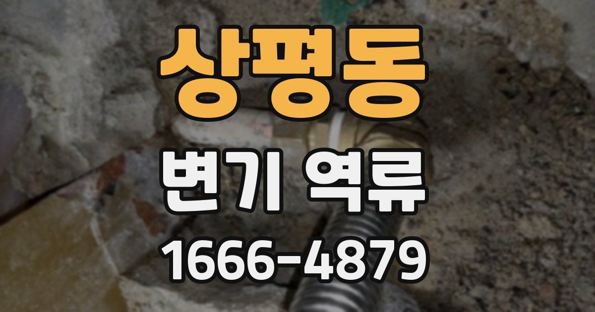 상평동 변기 역류