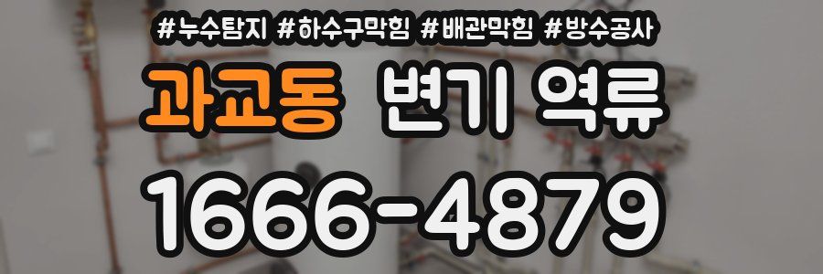 과교동 변기 역류