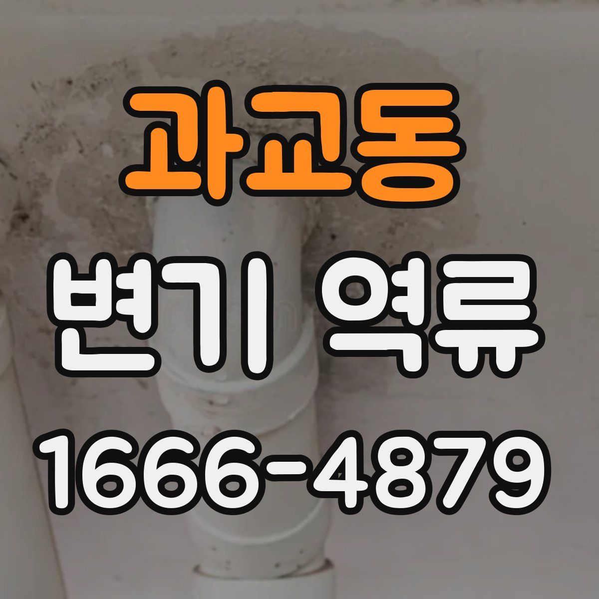 과교동 변기 역류