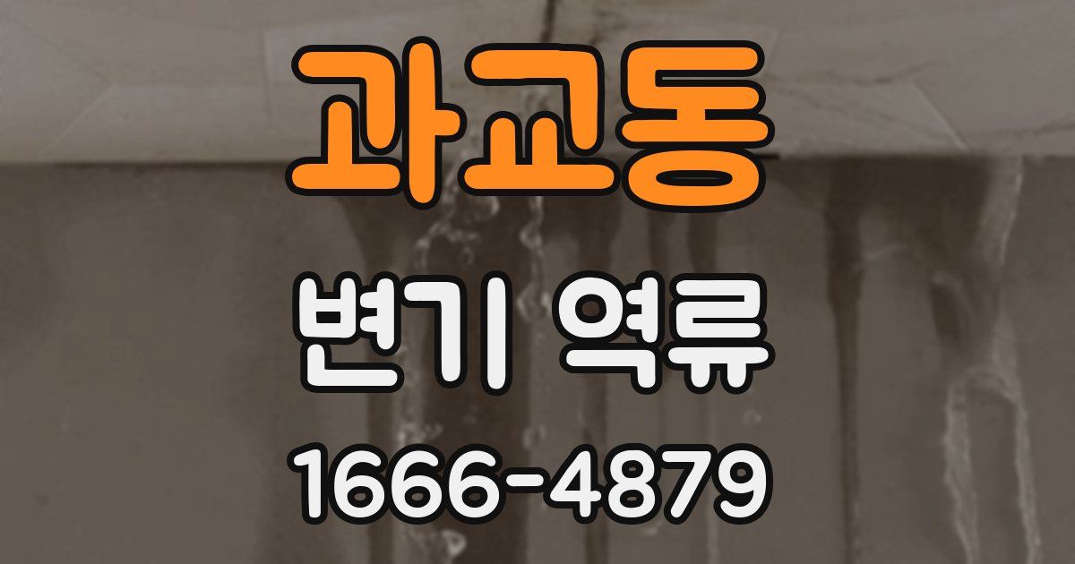 과교동 변기 역류