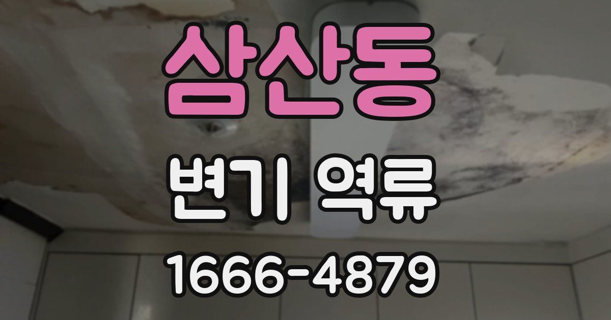 삼산동 변기 역류