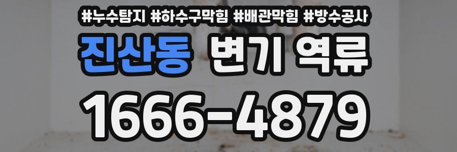 진산동 변기 역류