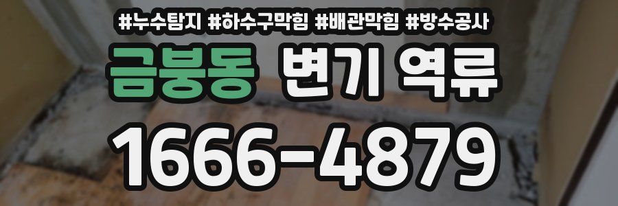 금붕동 변기 역류