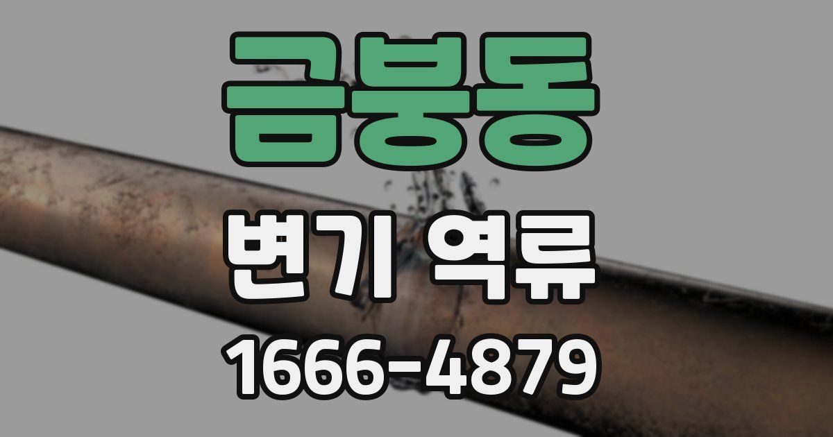 금붕동 변기 역류