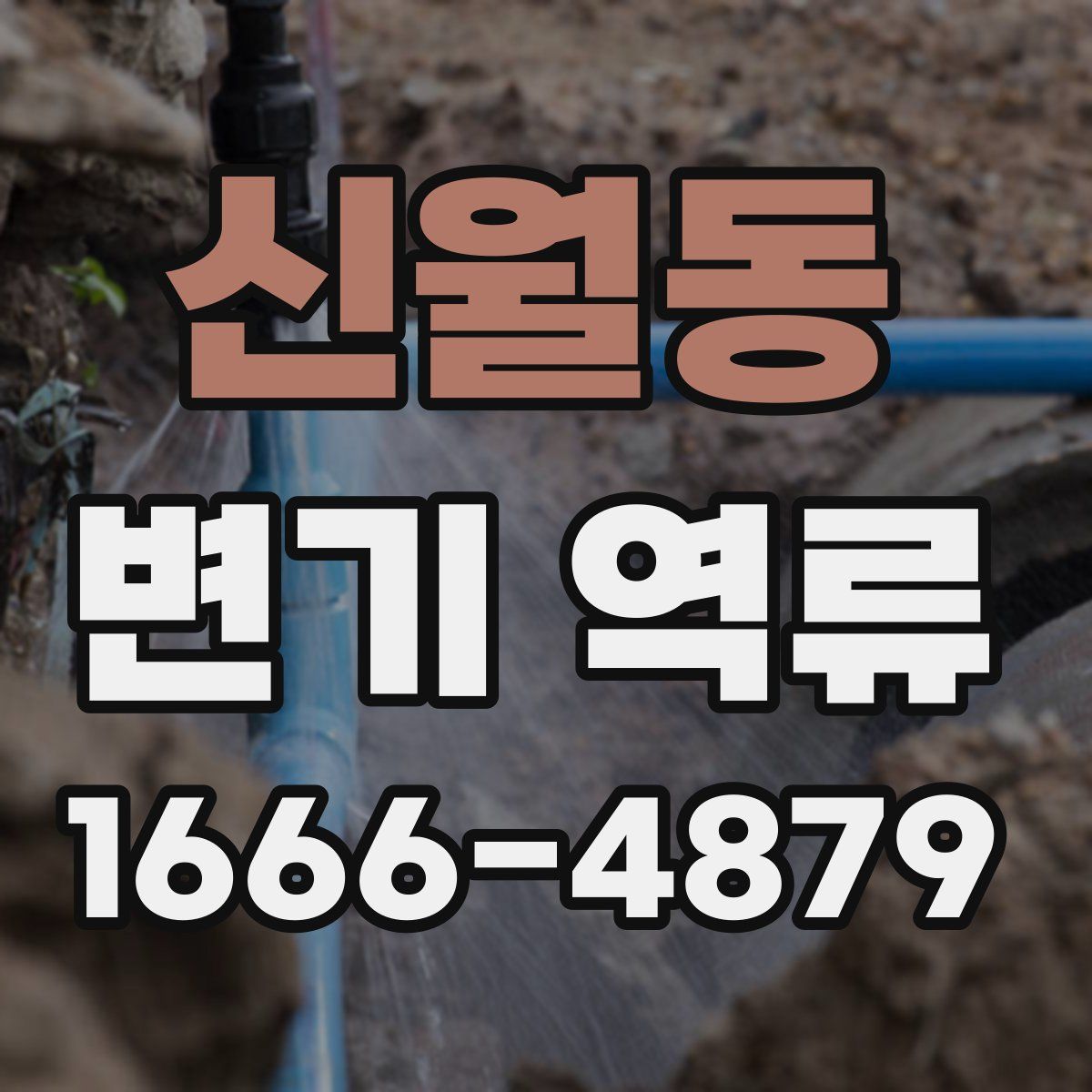 신월동 변기 역류