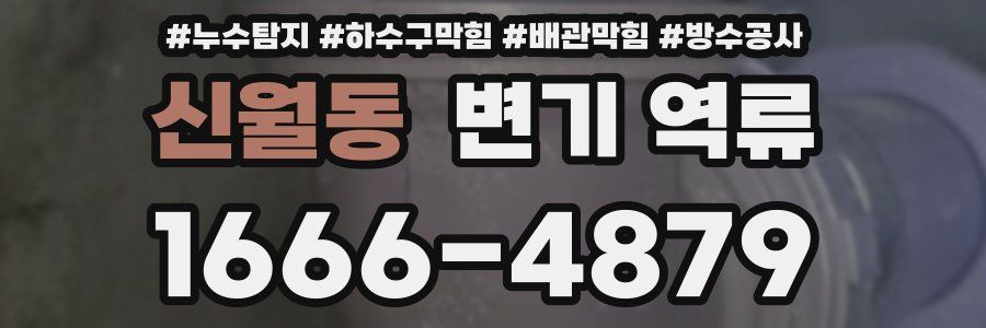 신월동 변기 역류