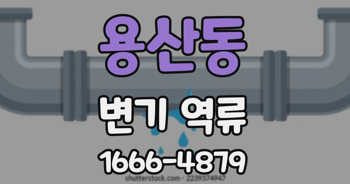 용산동 변기 역류