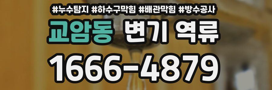 교암동 변기 역류
