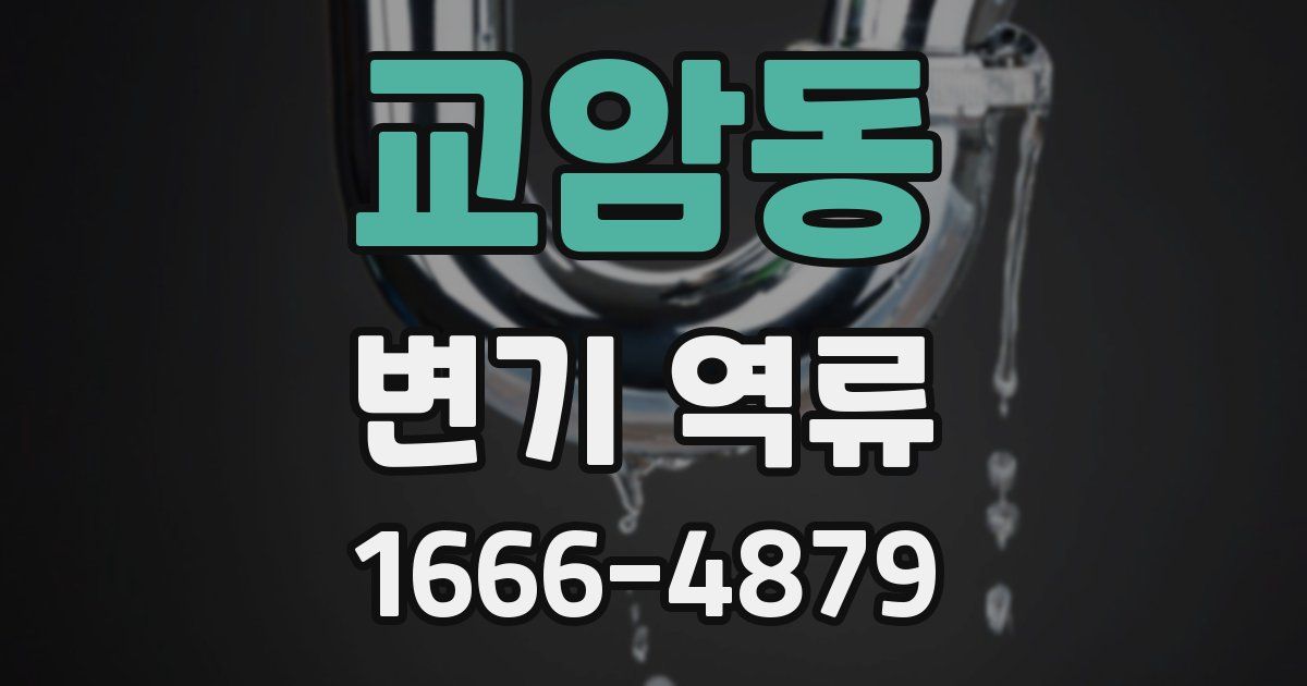 교암동 변기 역류