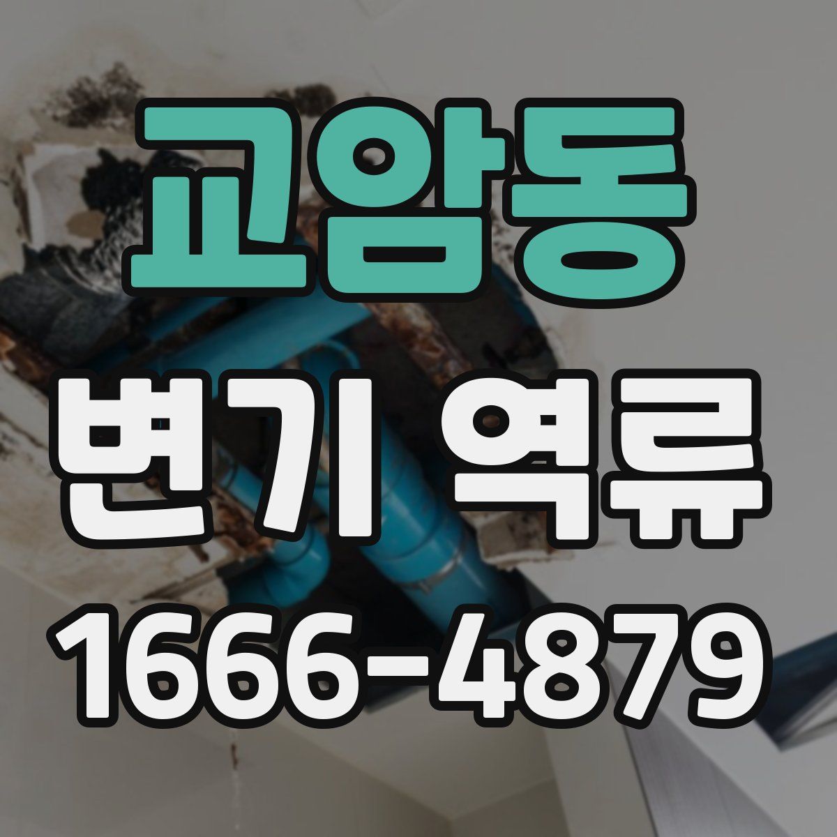 교암동 변기 역류