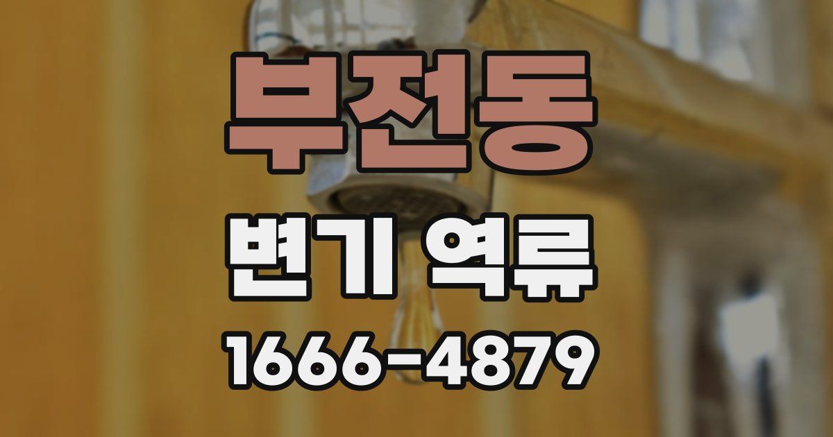 부전동 변기 역류