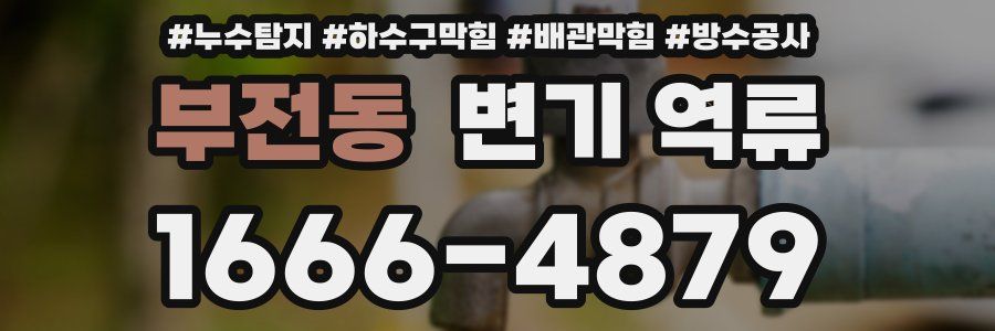 부전동 변기 역류