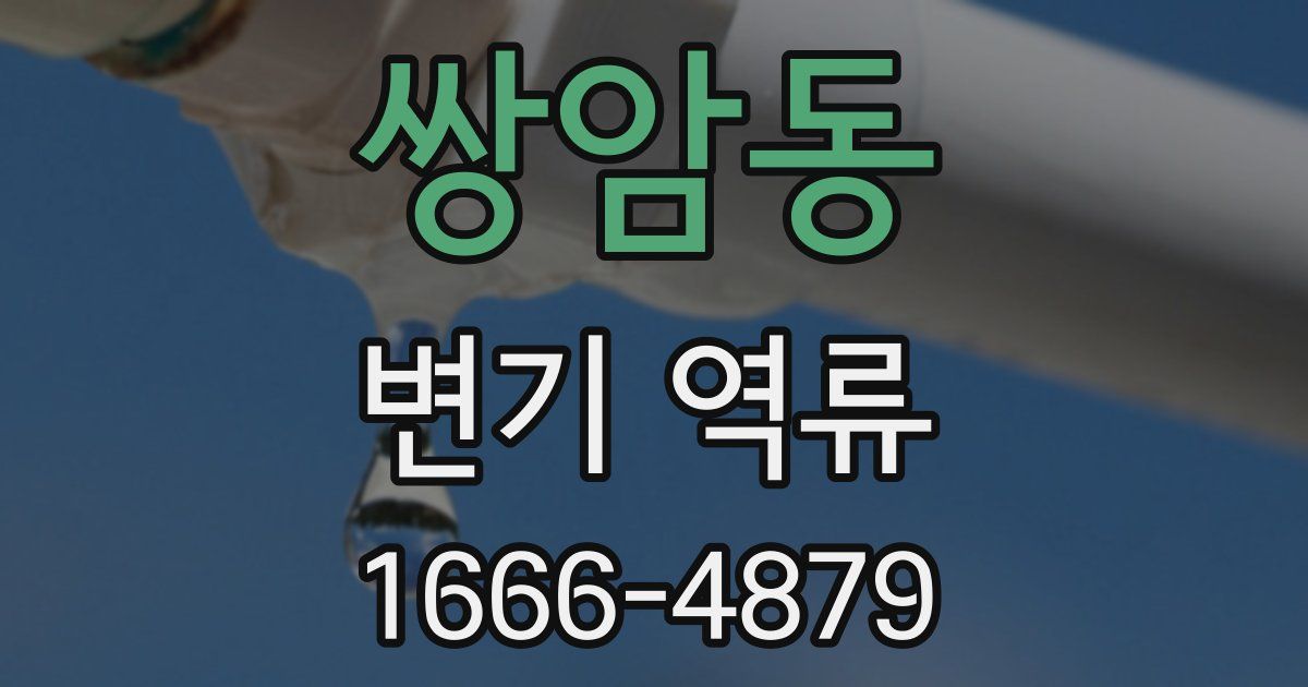 쌍암동 변기 역류