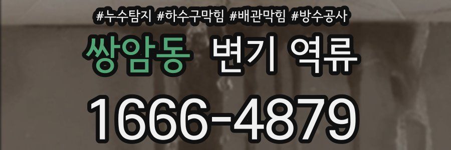 쌍암동 변기 역류
