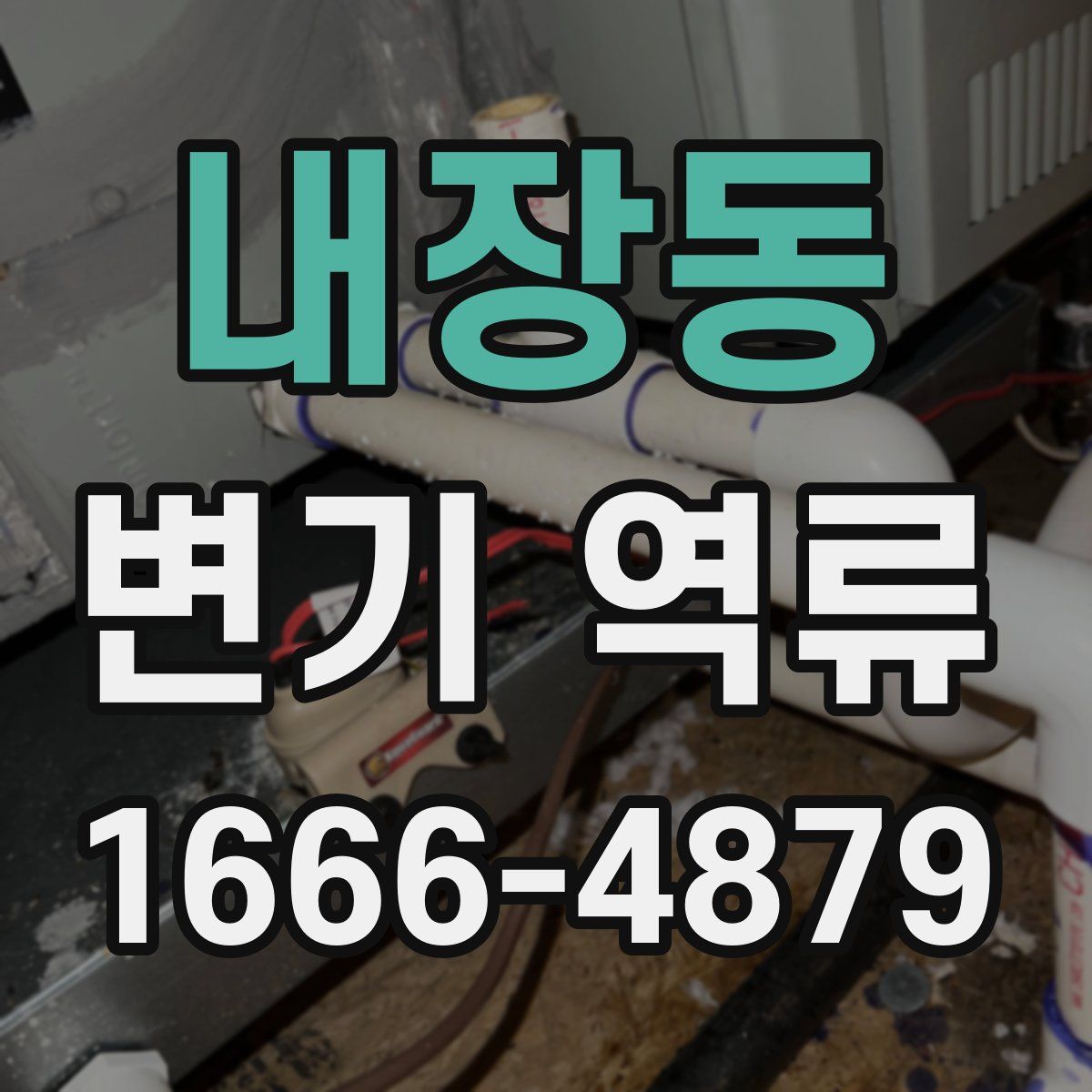 내장동 변기 역류