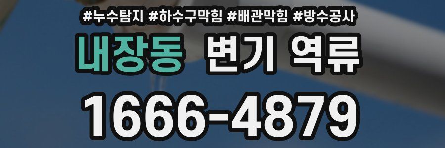 내장동 변기 역류