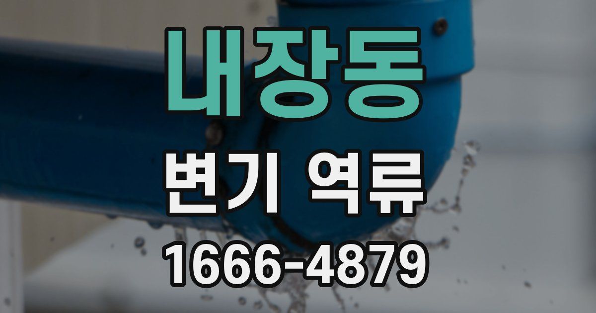 내장동 변기 역류