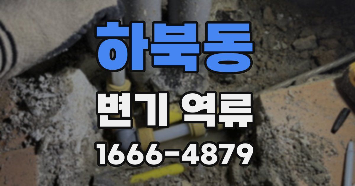 하북동 변기 역류