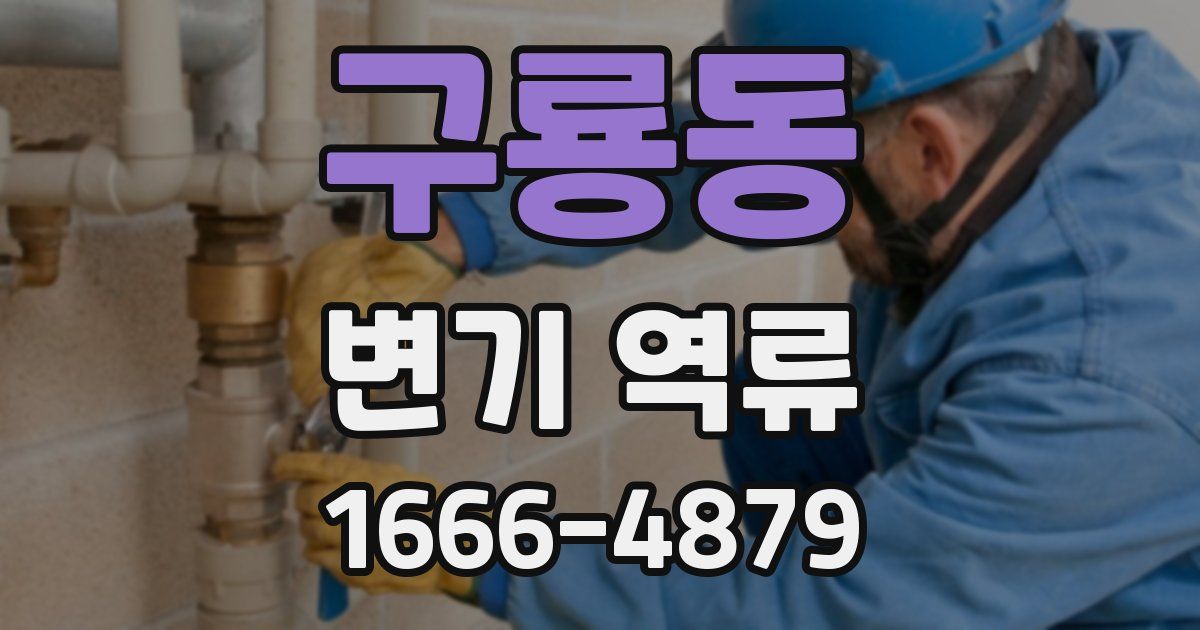 구룡동 변기 역류