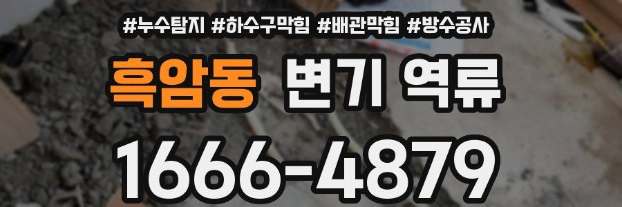 흑암동 변기 역류