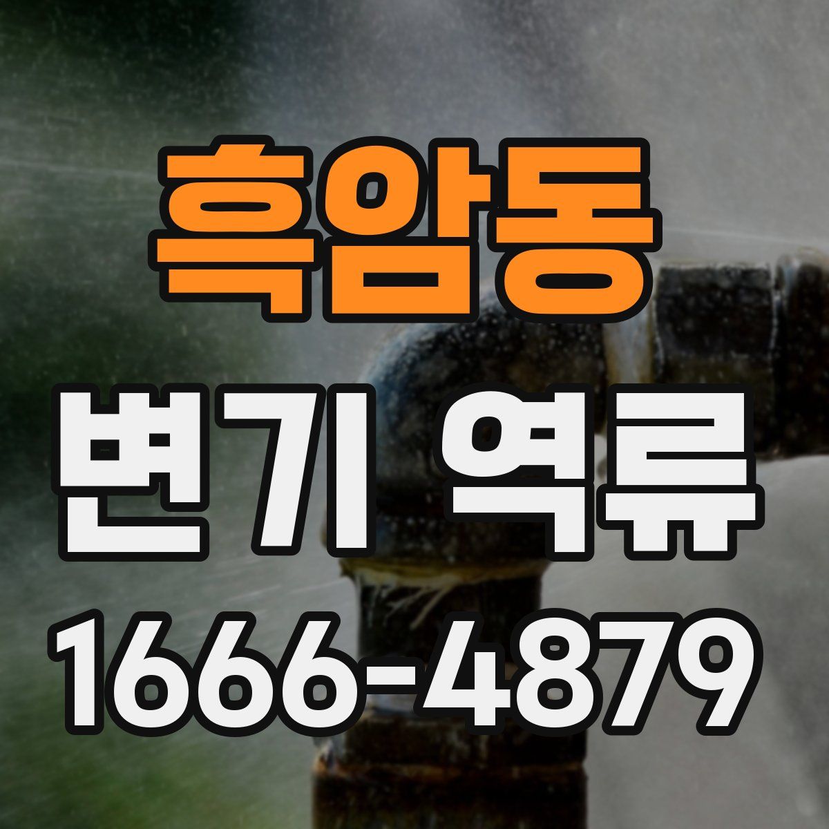 흑암동 변기 역류
