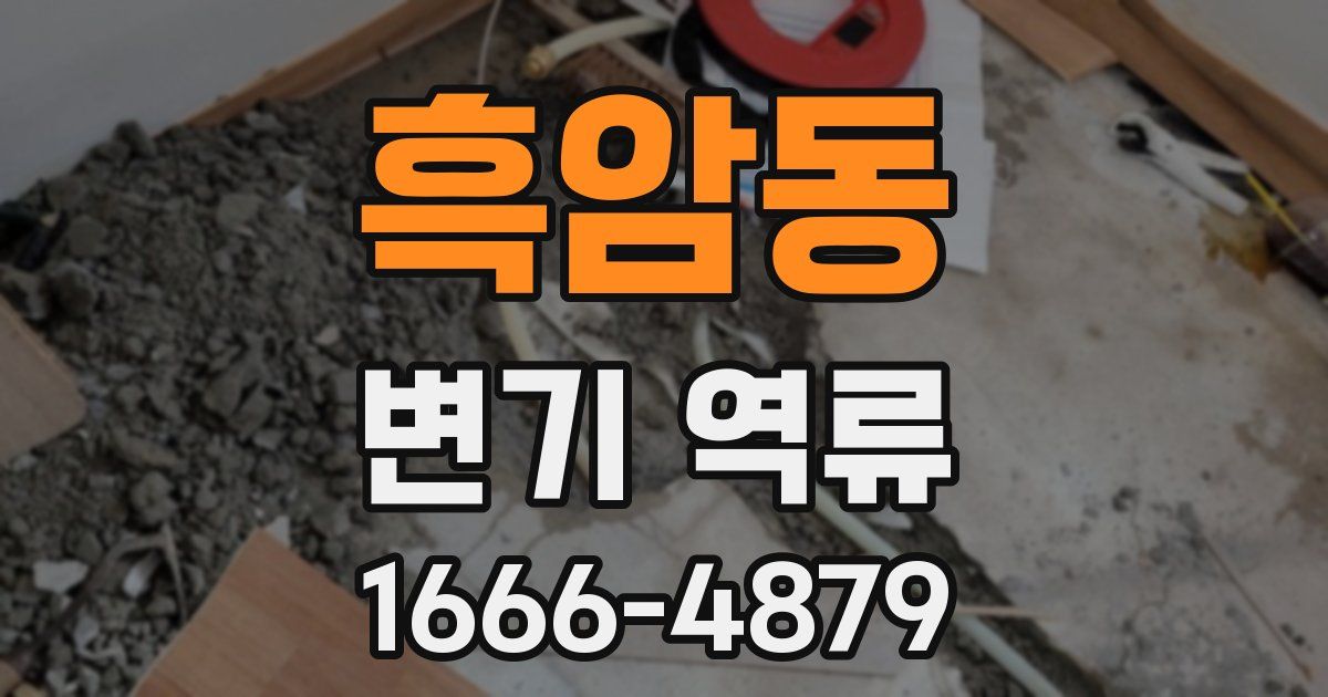 흑암동 변기 역류