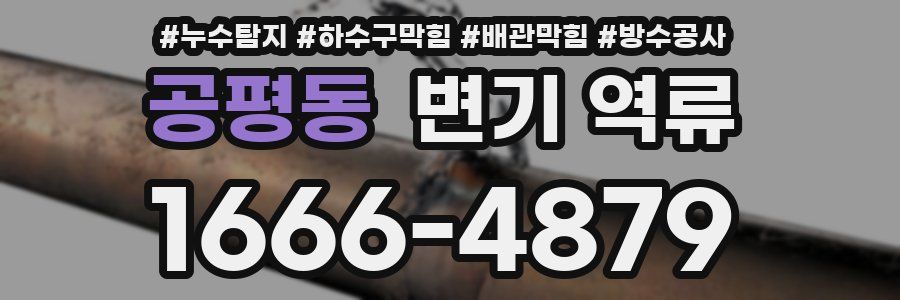 공평동 변기 역류