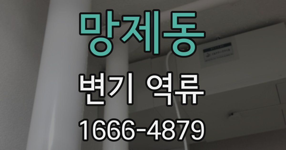 망제동 변기 역류
