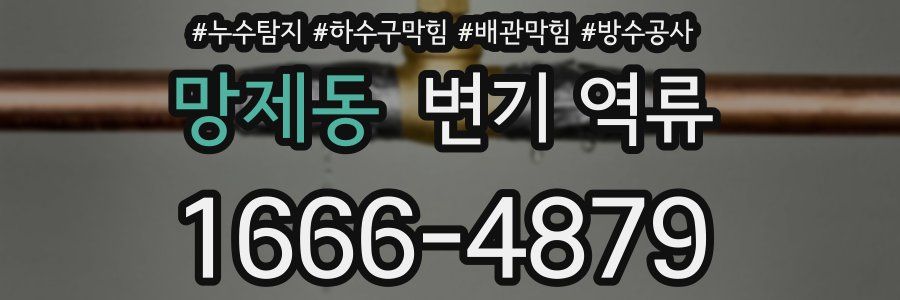 망제동 변기 역류